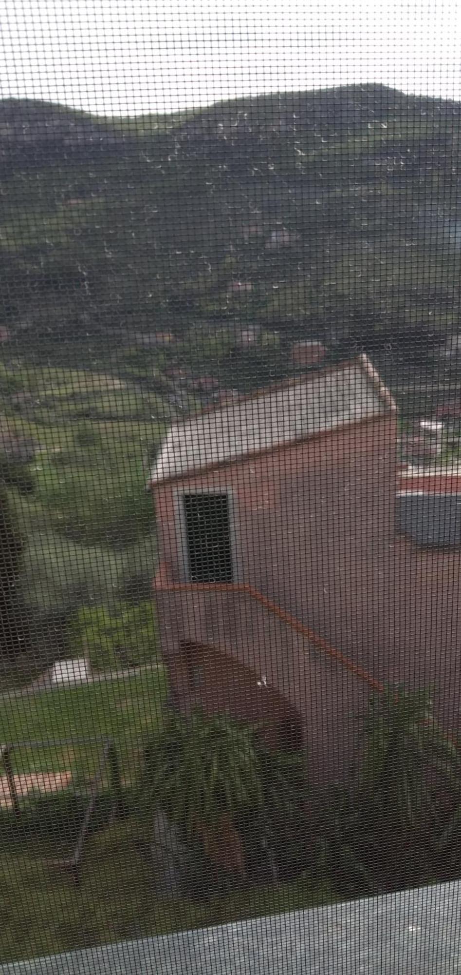Ca Degli Ulivi Hotell Finale Ligure Rom bilde